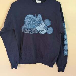 Disney Mickey Mouse Sweatshirt Adult Small Blue Pullover Disneyland Resort 2018